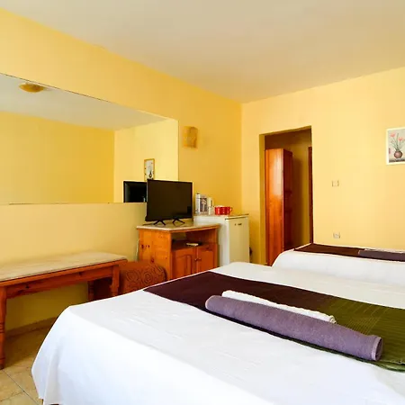 Guest house Fener